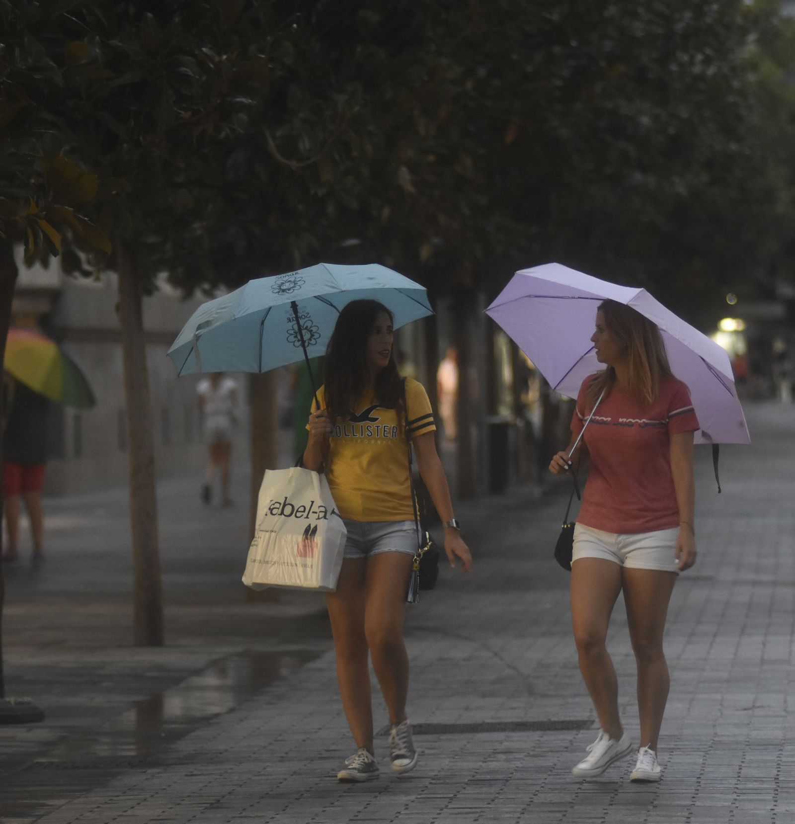 Las mejores imágenes de la lluvia en Córdoba