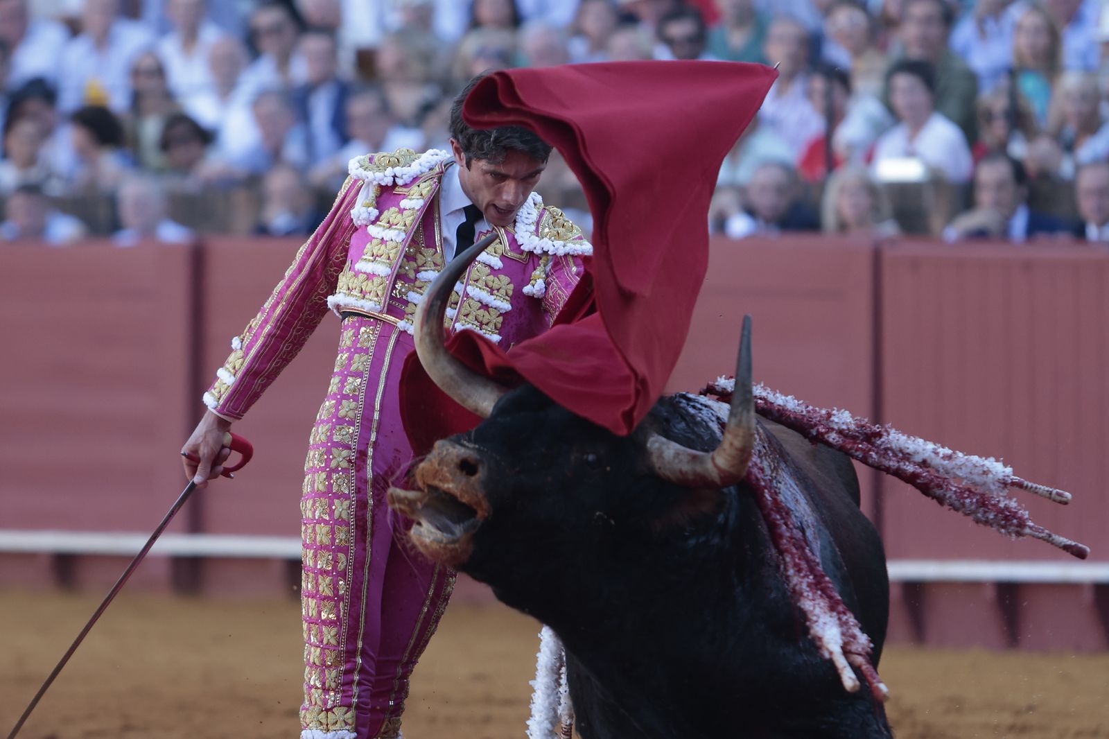 El triunfo de Castella en imágenes