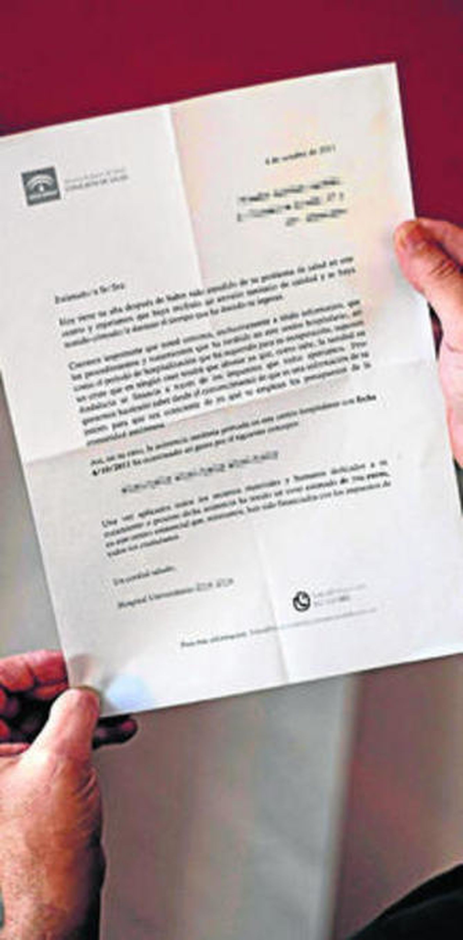 Este es el modelo de factura informativa que entregará el SAS.