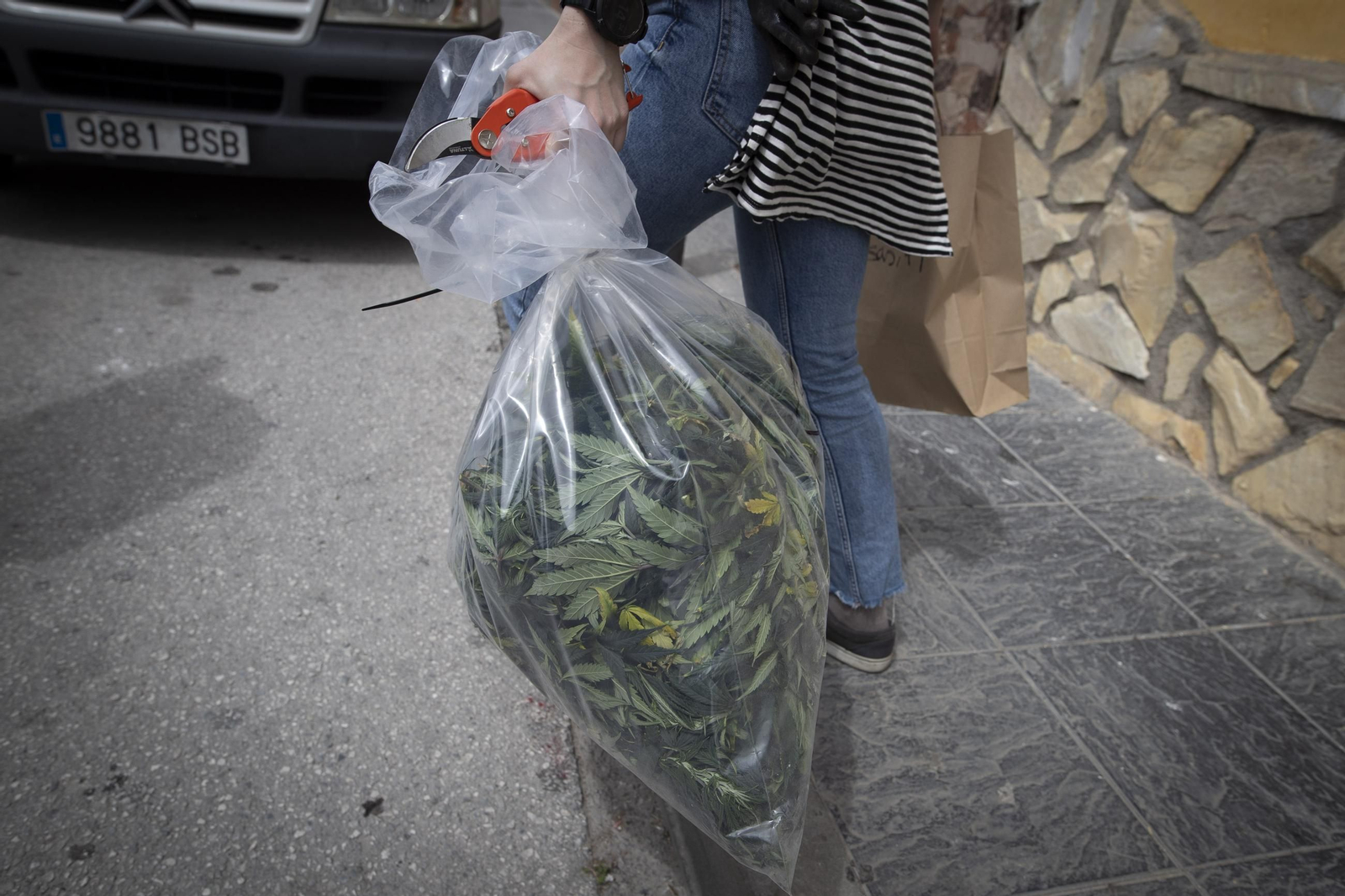 Fotos: un día de lucha contra la marihuana en Granada con la Guardia Civil de Pinos Puente