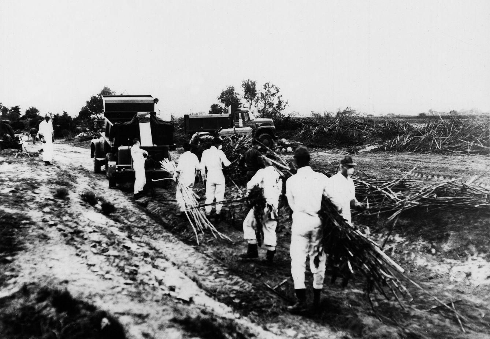 Tareas de limpieza de los soldados de Estados Unidos.