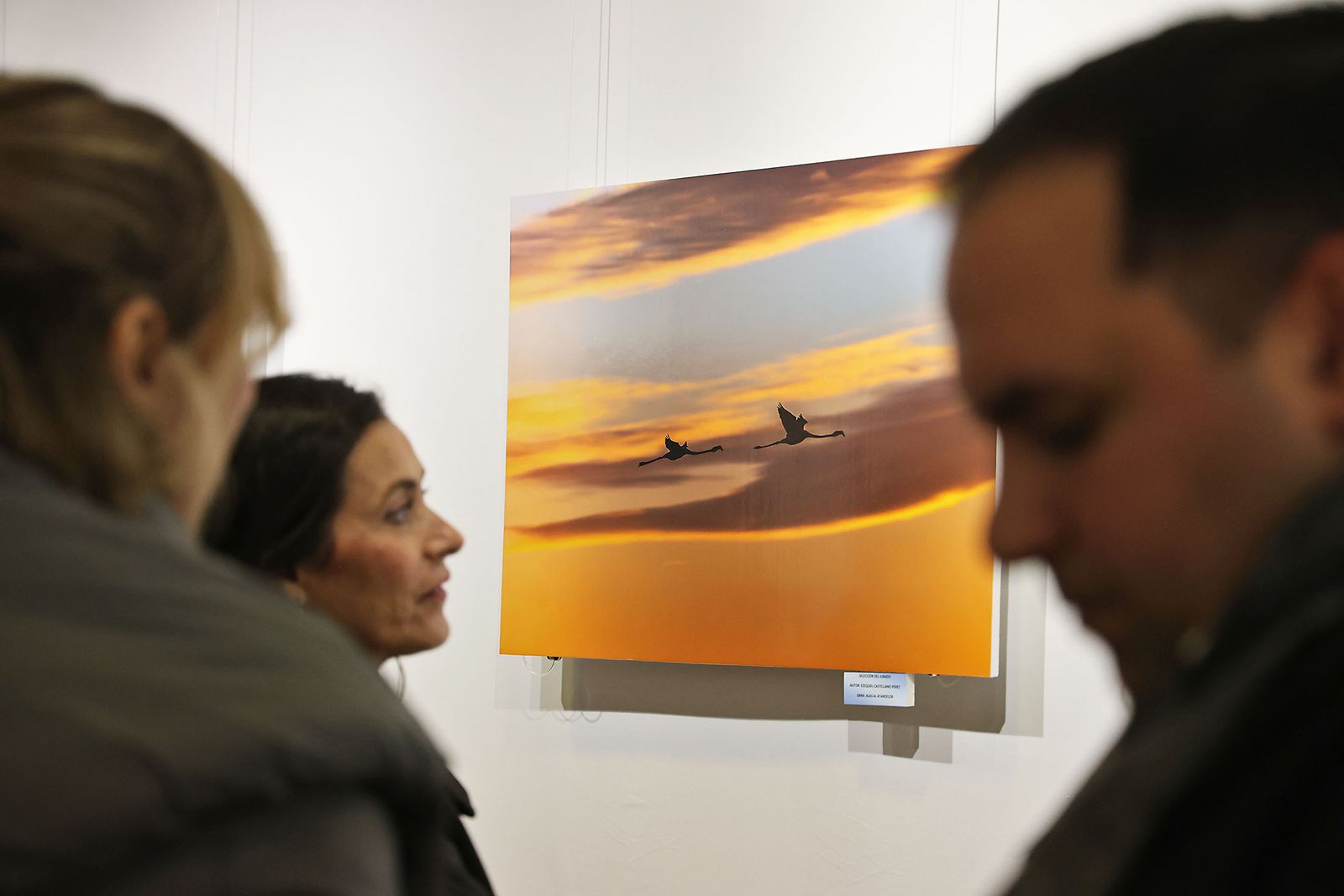 Exposición del Concurso de Fotografía 'Alas del Odiel'