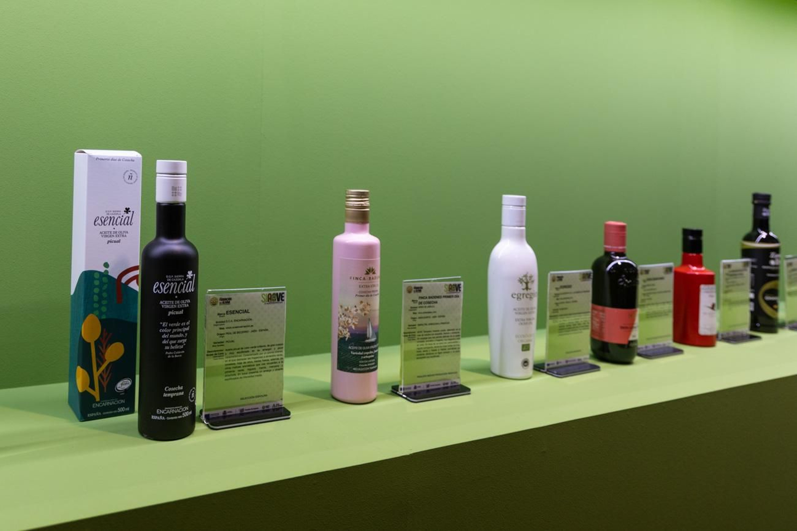 Inauguración "Expoliva" (II)