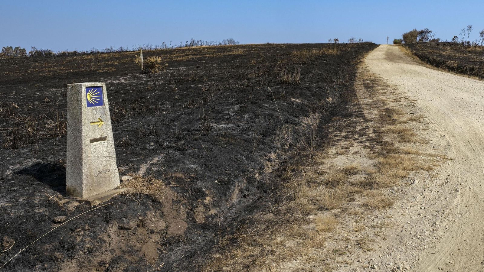 Un mojón del Camino en un campo quemado.