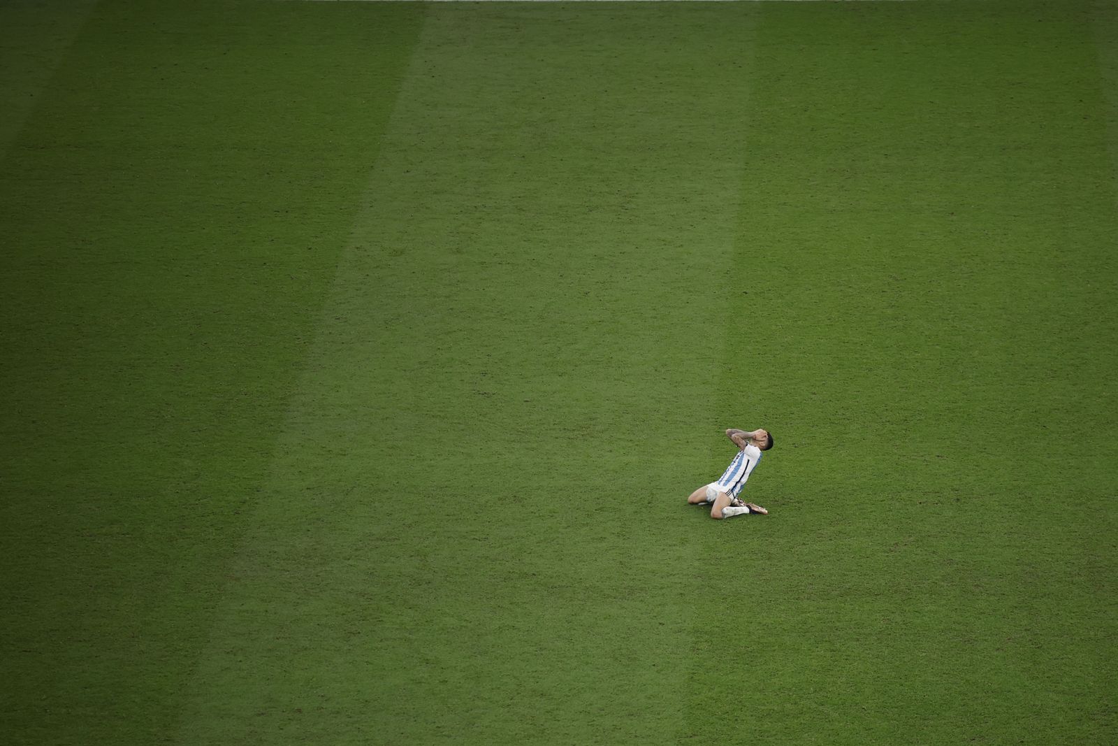 Fotos de la final: Argentina-Francia