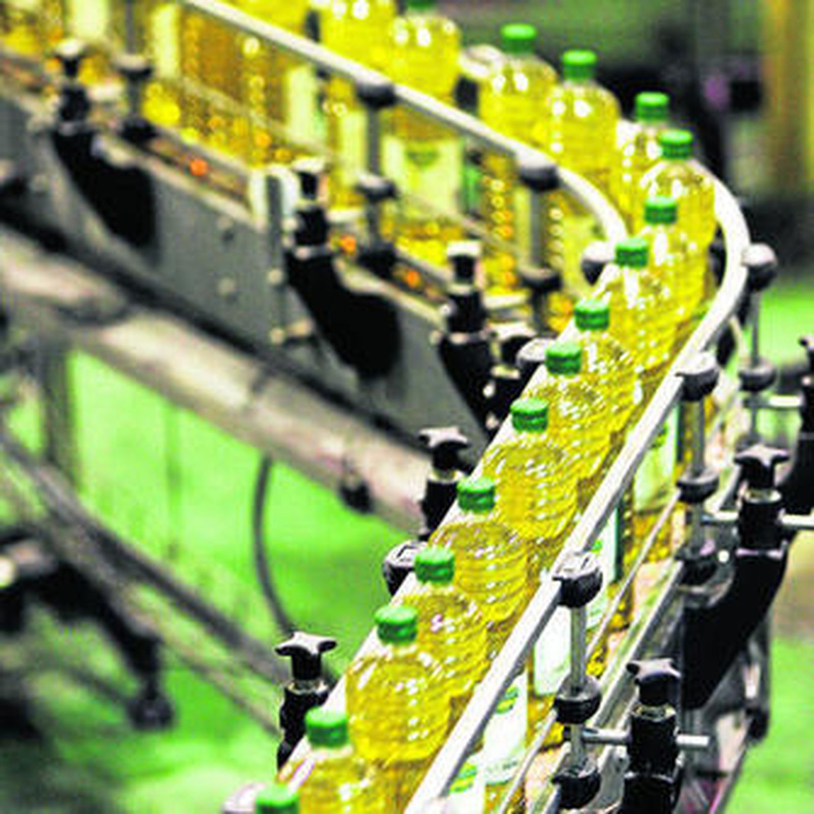 Decenas de botellas de aceite de Hojiblanca en su planta envasadora.