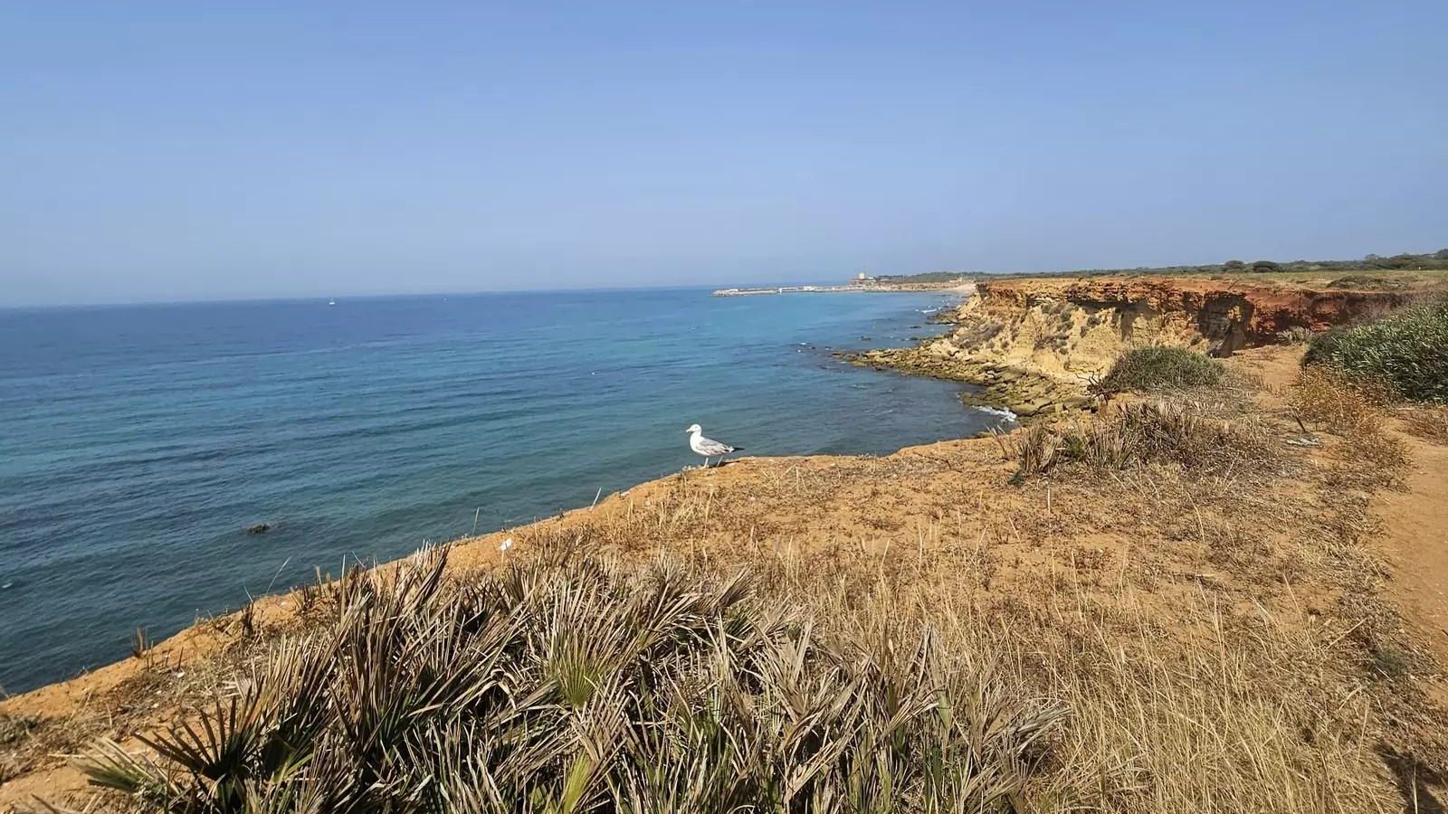Vistas desde los acantilados de Conil