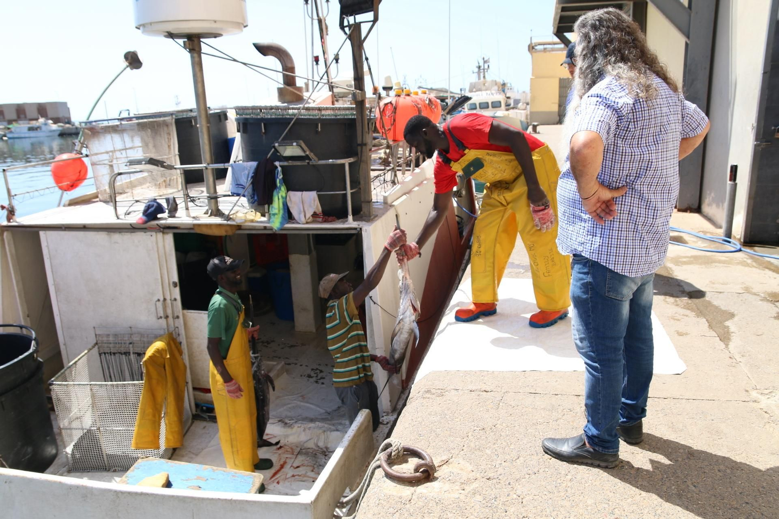 Paco observa cómo un barco descarga pez espada en la lonja abderitana.