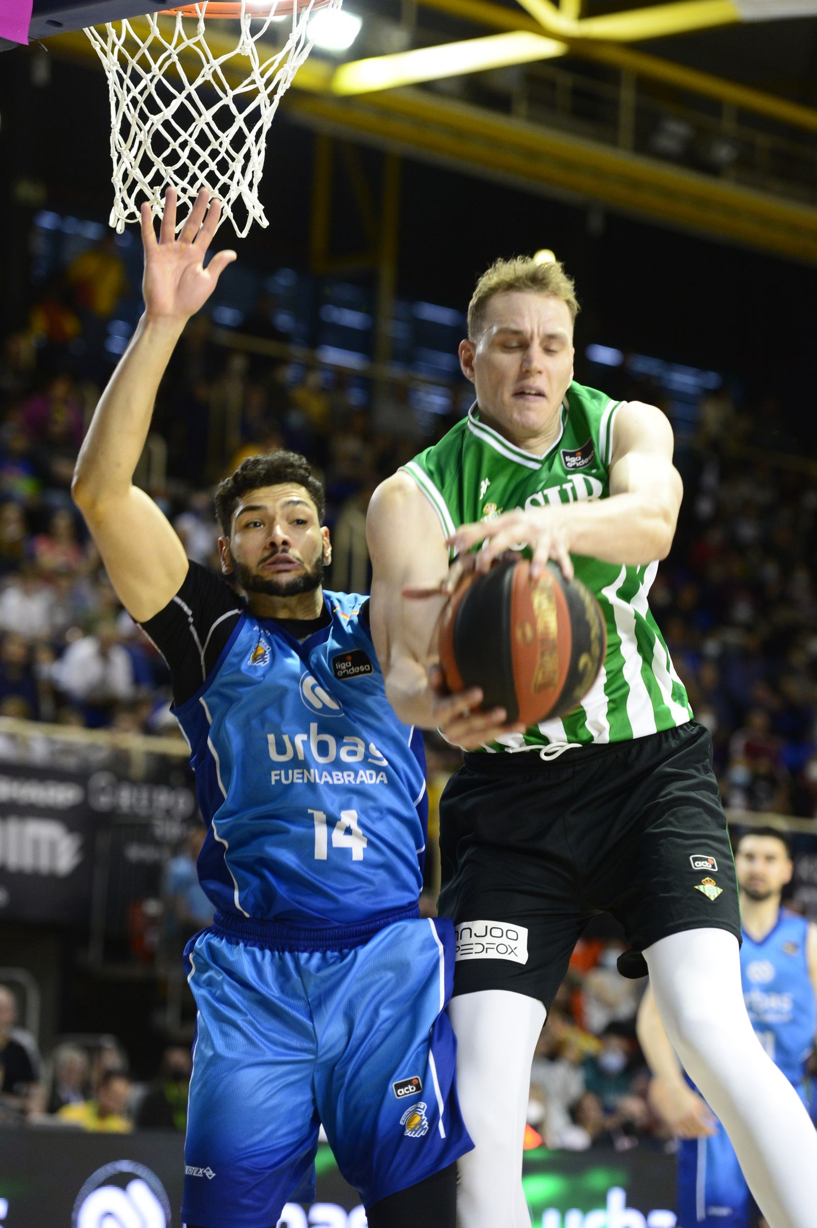 Las imágenes de la fiesta del Coosur Betis