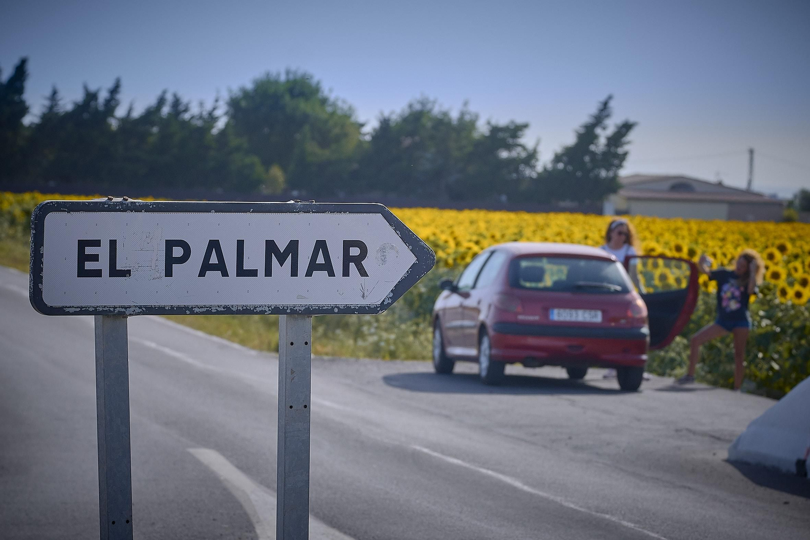 Uno de los accesos que te llevan hasta la playa de El Palmar