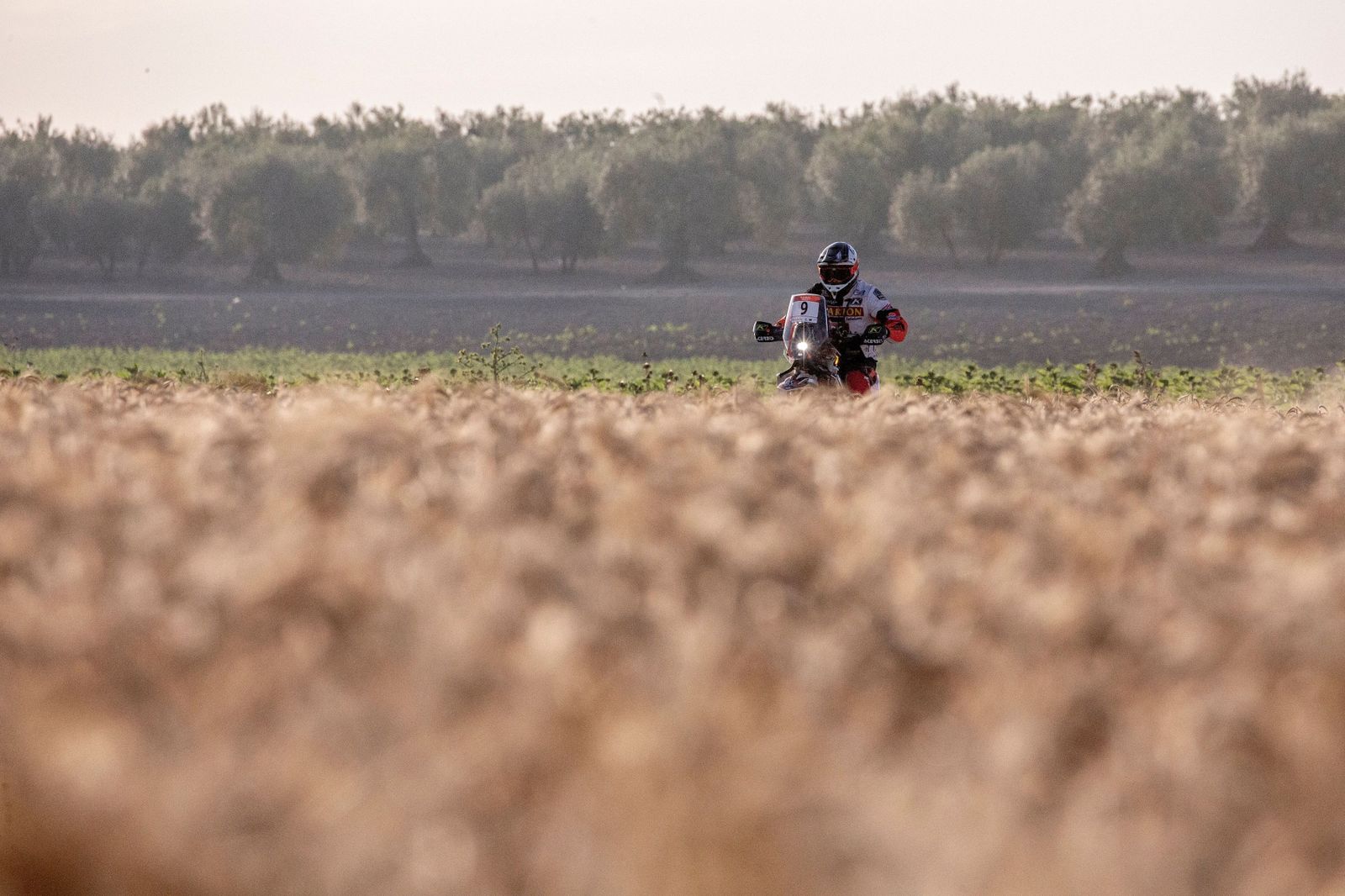 Los grandes del Dakar enseñan el paisaje rural de Andalucía