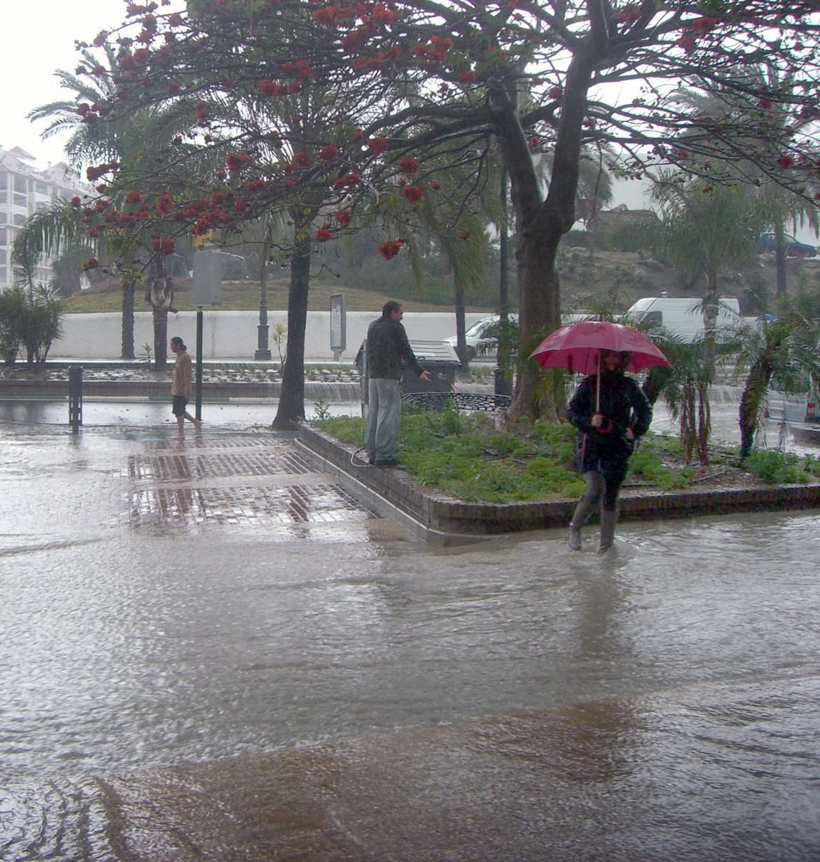 Las lluvias en Estepona provocan inundaciones