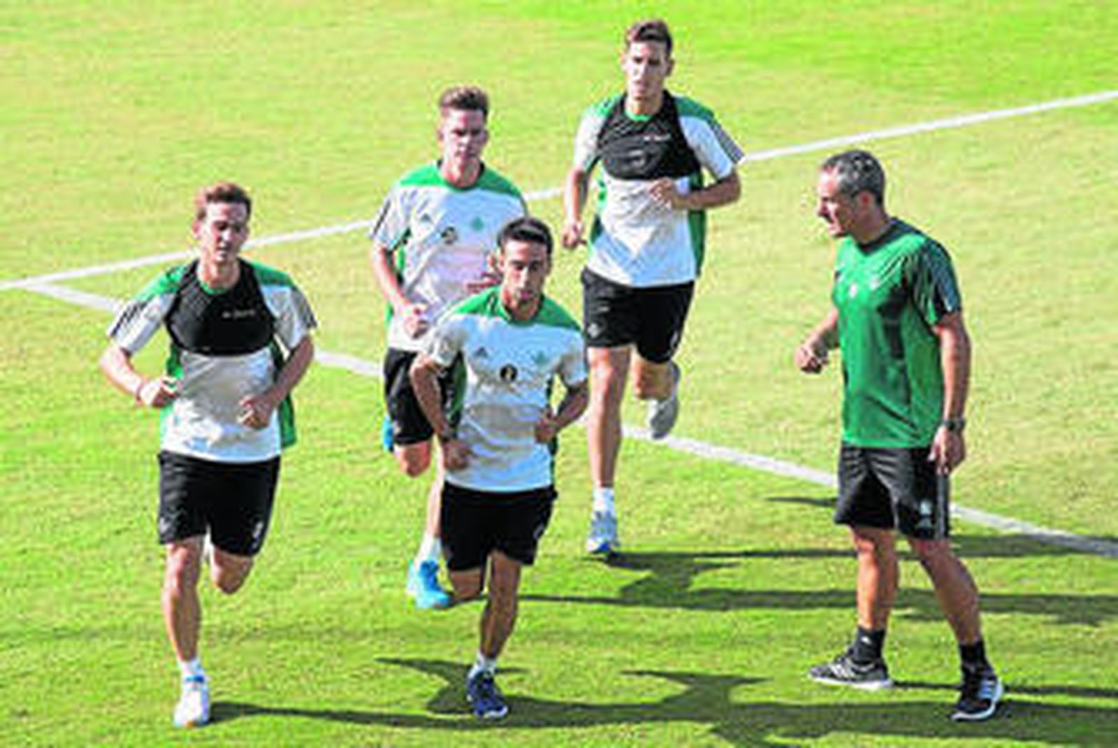 Obligada metamorfosis