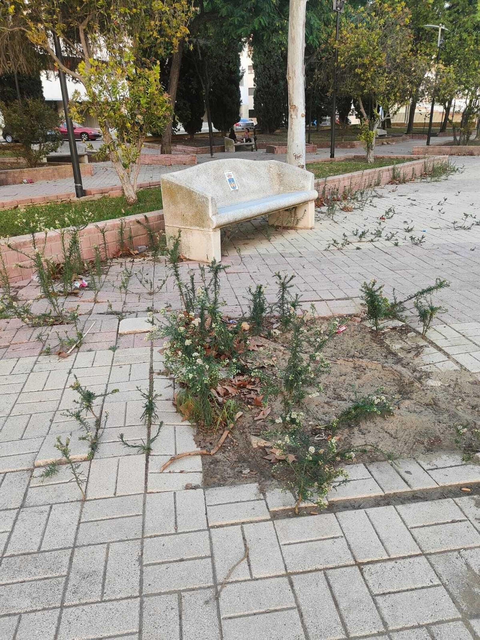 El estado en que se encuentra la plaza Hermano Ignacio.