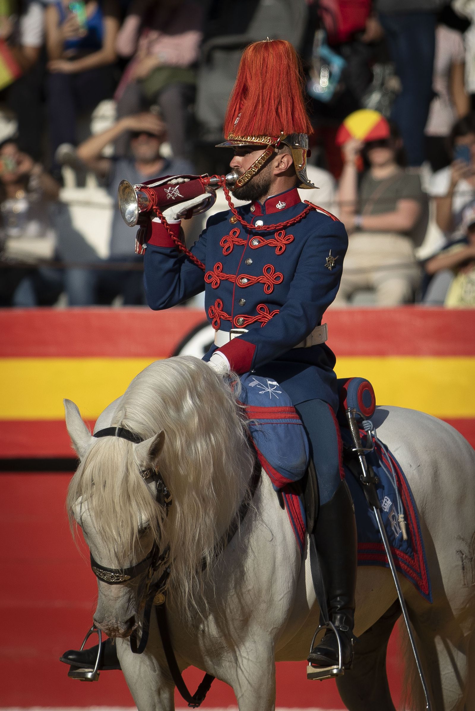 La exhibición del Ejército en la Plaza de Toros de Granada, en imágenes