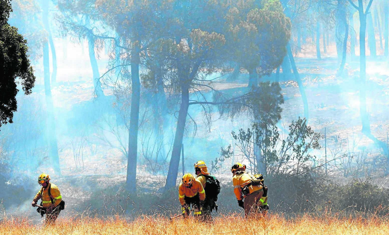 Incendio en un pinar de Cartaya el pasado mes de agosto.