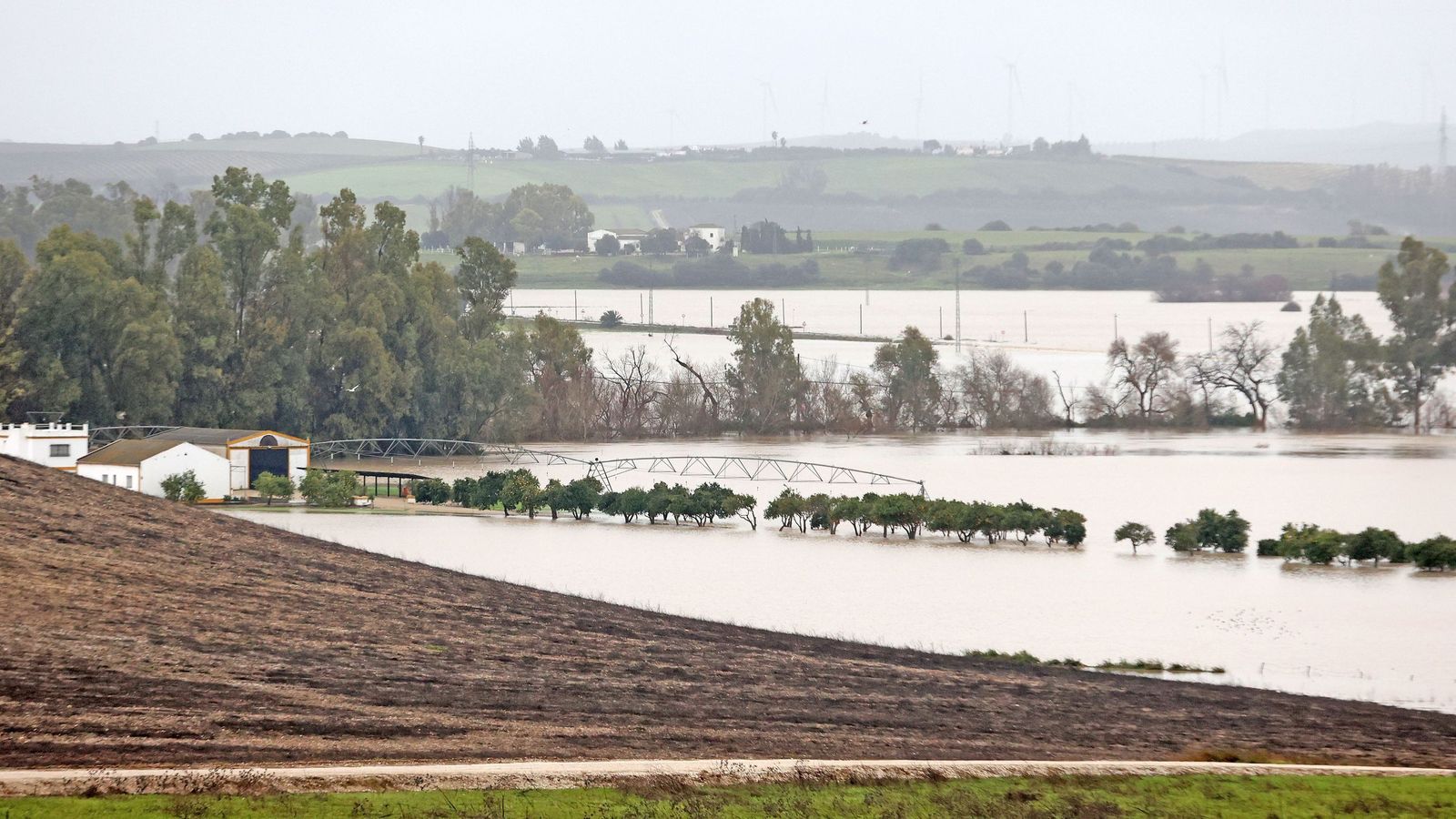 Imágenes del paseo rural por Jerez en el estreno de la borrasca Marta