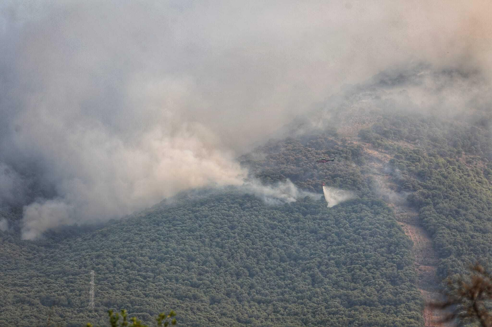 Incendio forestal en Mijas, en el paraje El Higuerón (fotos)