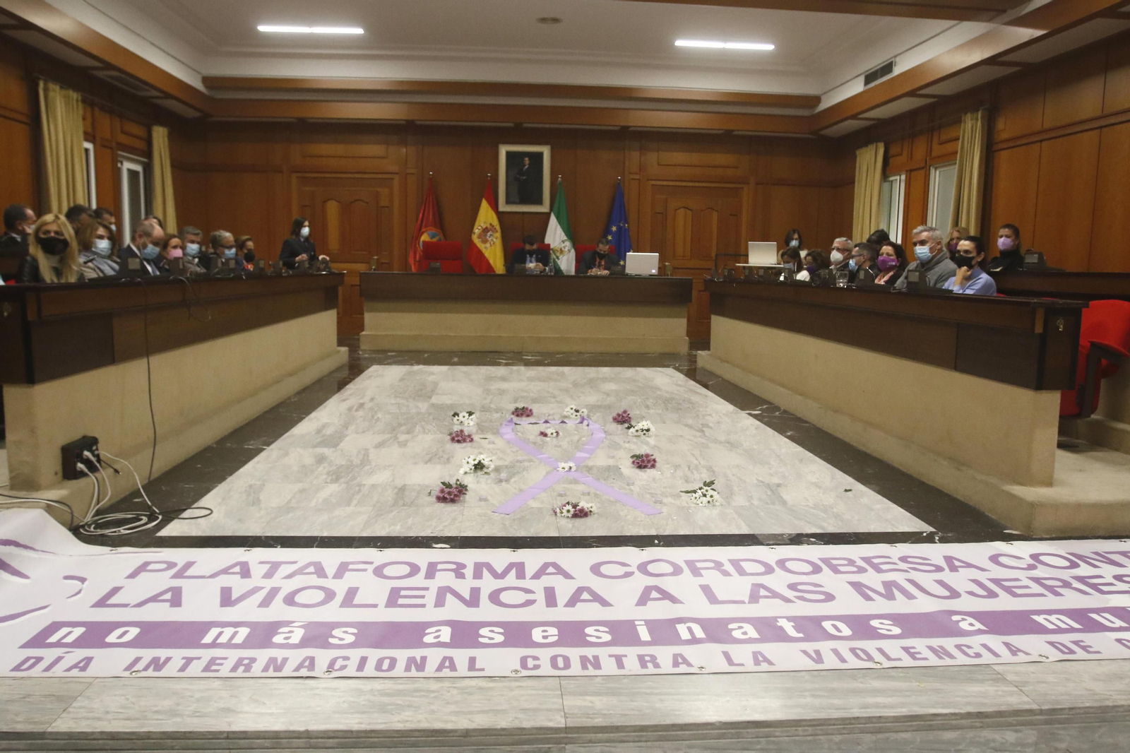 Pleno extraordinario por el Día Internacional de la Eliminación de la Violencia contra la Mujer.