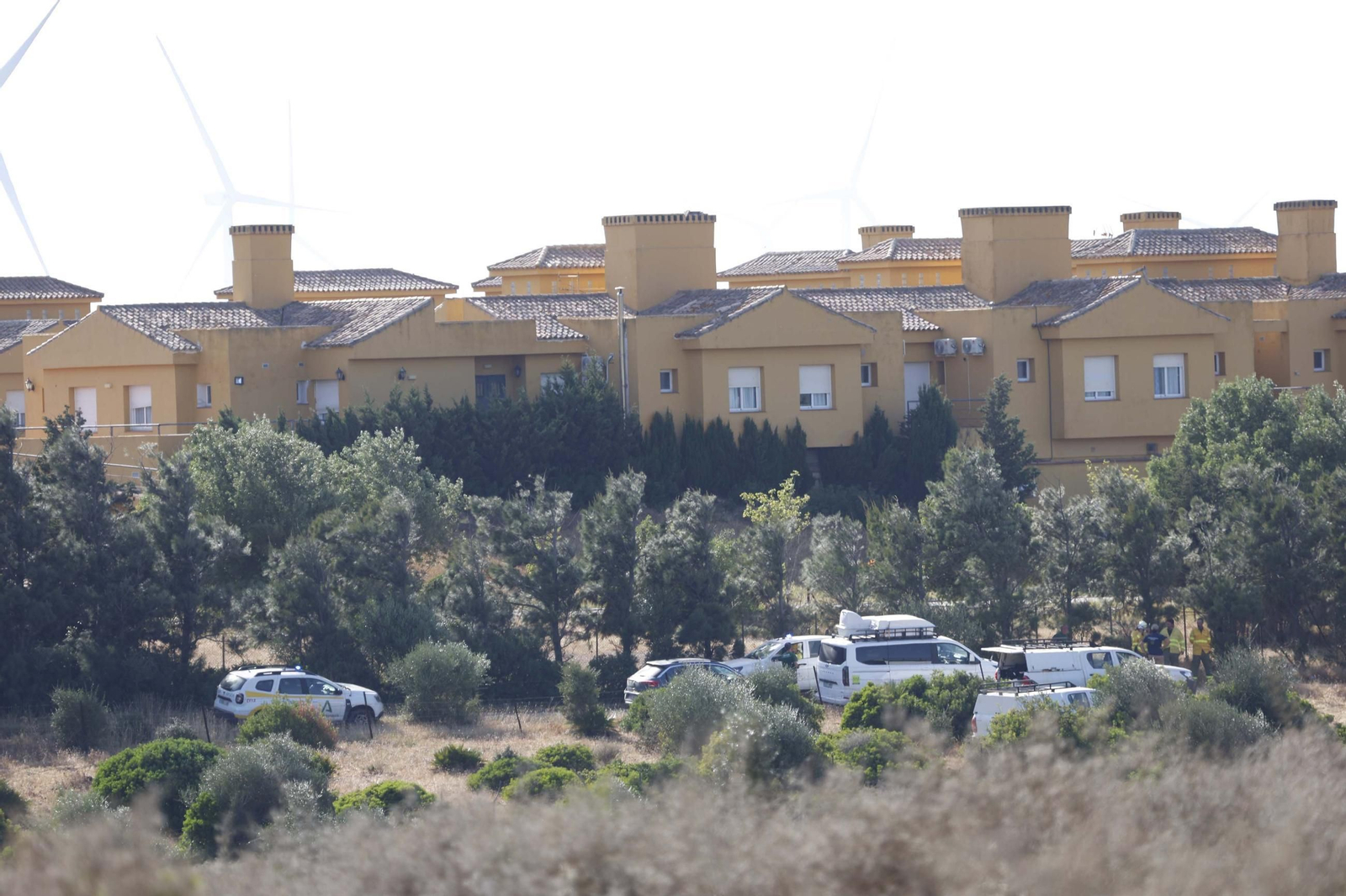 Las fotografías del incendio forestal en Facinas (Tarifa)