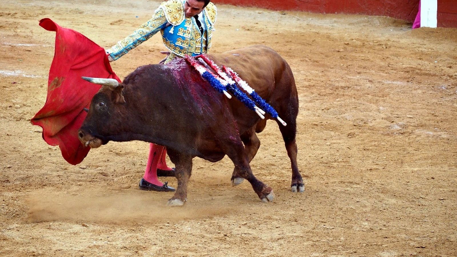 Enrioque Ponce cosecha un su debut un merecido triunfo.