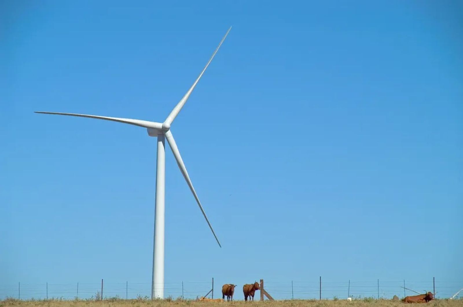 Parque eólico Pasada de Tejeda, de Statkraft, ubicado en Tarifa
