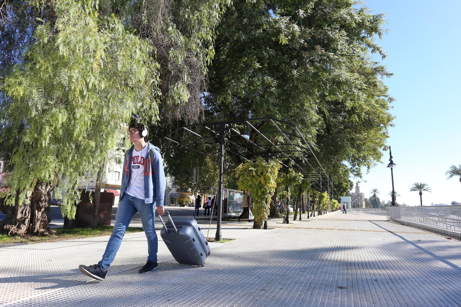 La nueva imagen del Paseo de Colón.