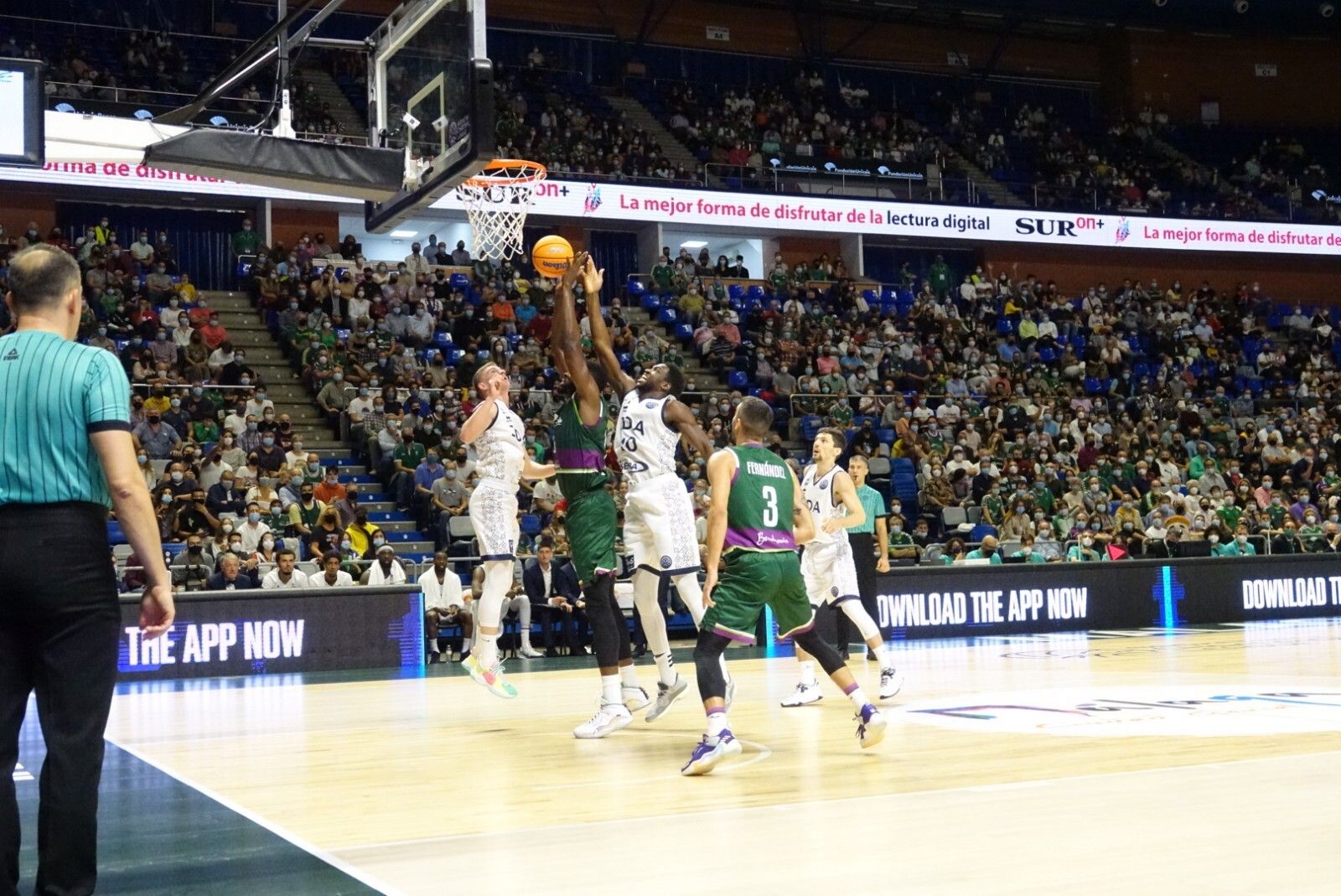 Las fotos del Unicaja-Dijon