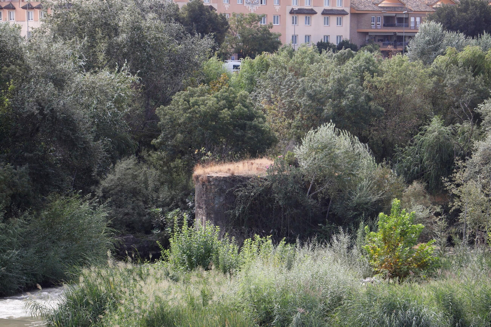 Las imágenes de los Molinos de Córdoba en el río Guadalquivir