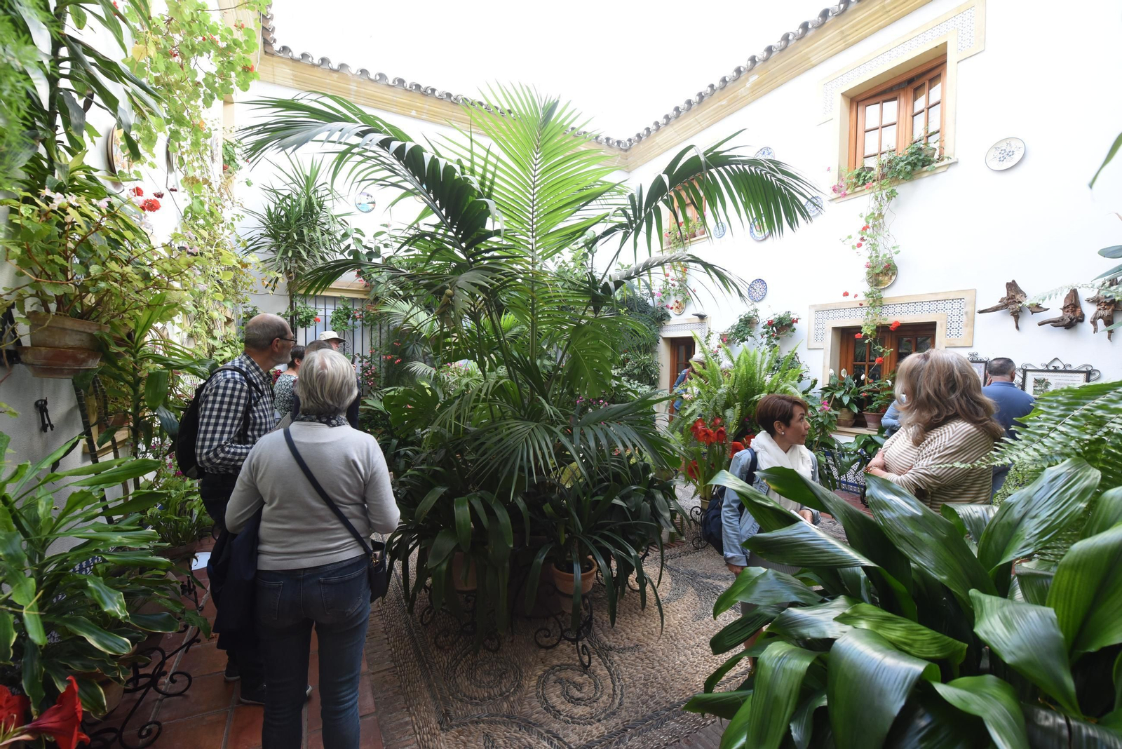 Una ruta en imágenes por los patios de la Judería y San Francisco