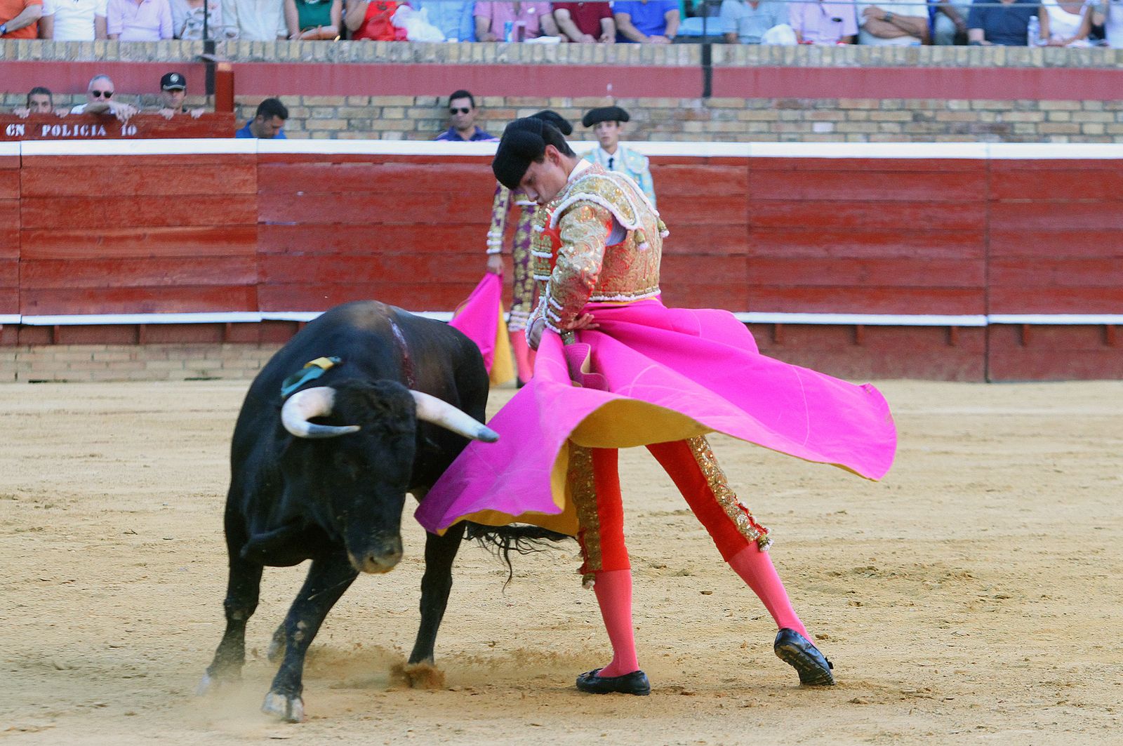 Imágenes de la Novillada de Rafael Serna, Emilio Silvera y Rodrigo Molina.