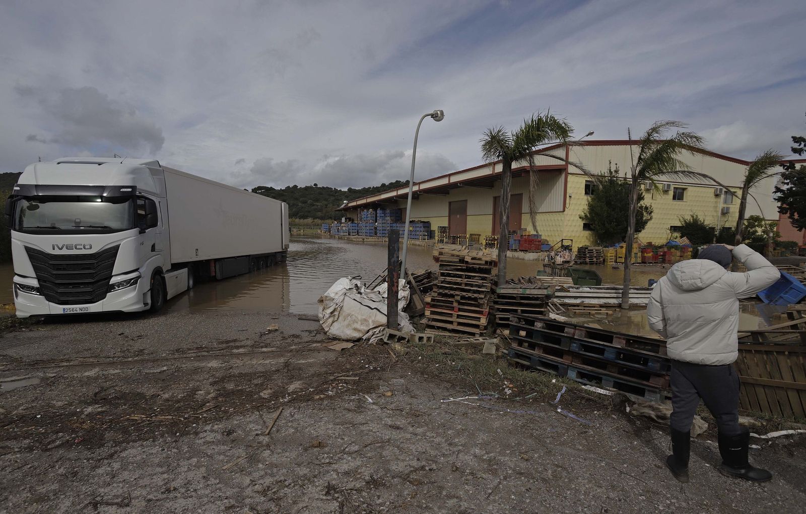 San Martín del Tesorillo después de la borrasca Marta, en imágenes