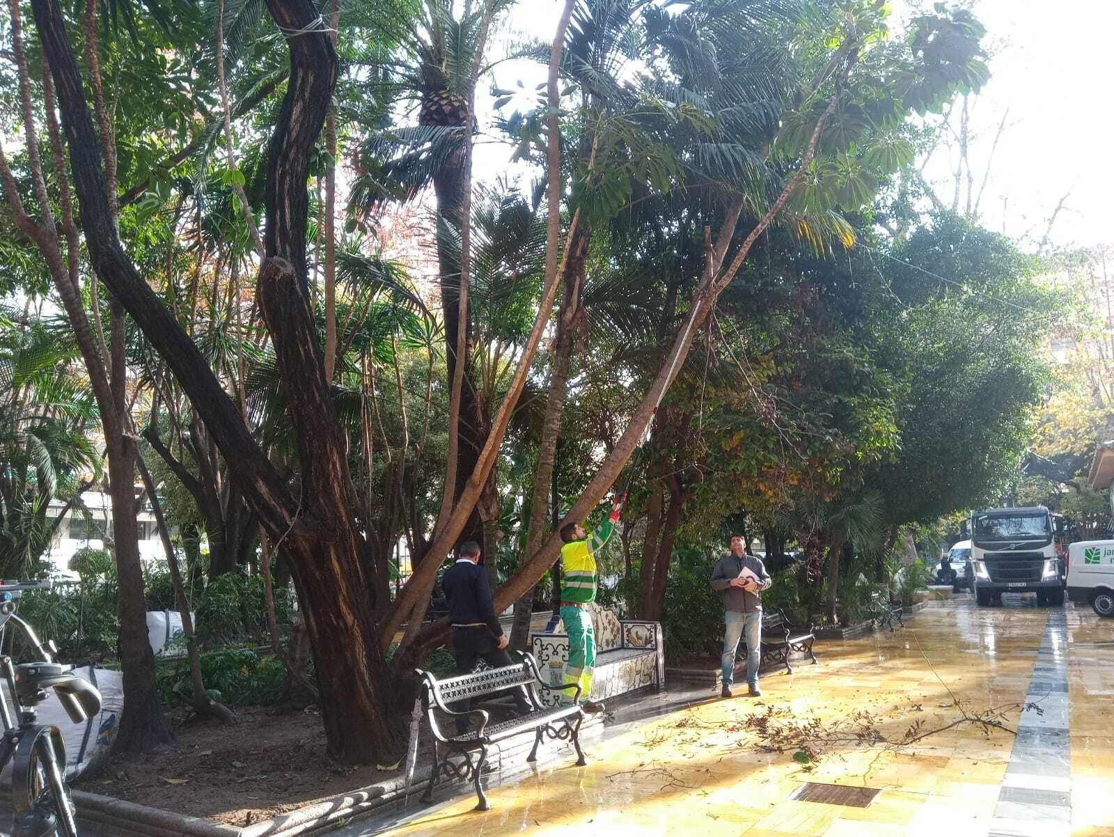 Un operario en los trabajos de rehabilitación de La Alameda.