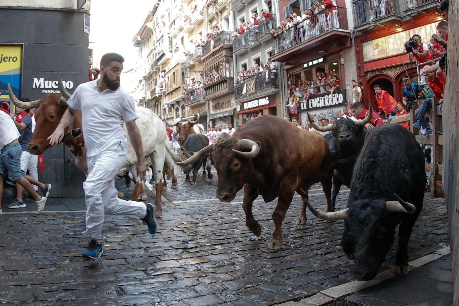 La bravura de Tarifa se hace notar en Pamplona: tres heridos en un encierro con toros de La Palmosilla
