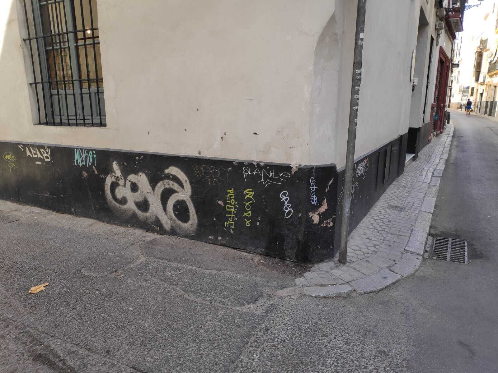 El PP denuncia la "degradación de un casco histórico, inundado de pintadas"