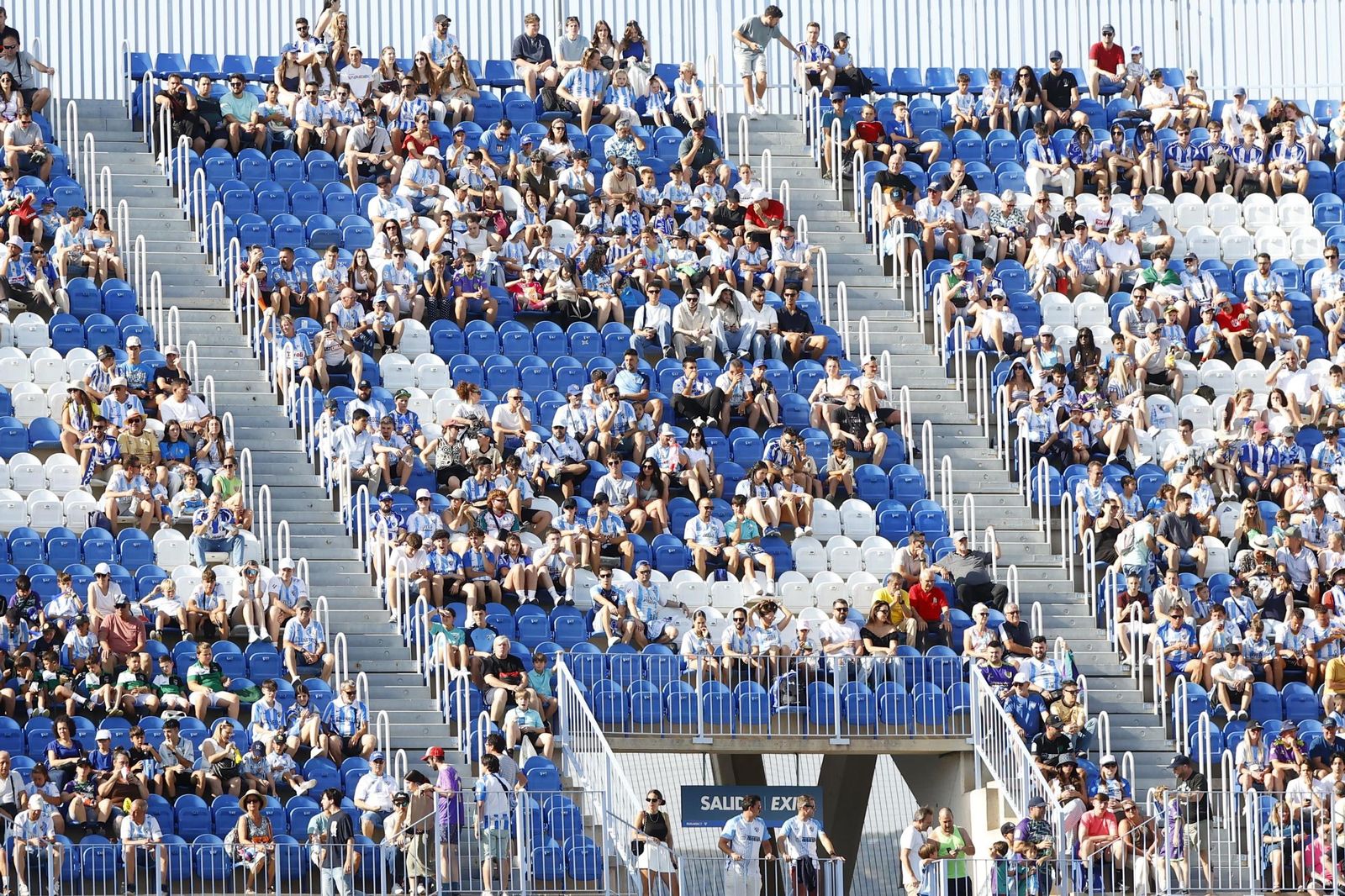 Búscate en las gradas de La Rosaleda en el Málaga CF-Burgos