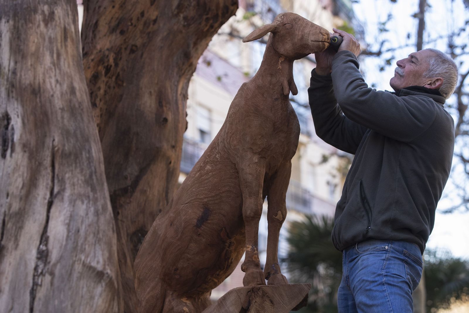 El escultor José Casamayor trabaja una de las ramas del centenario ficus.