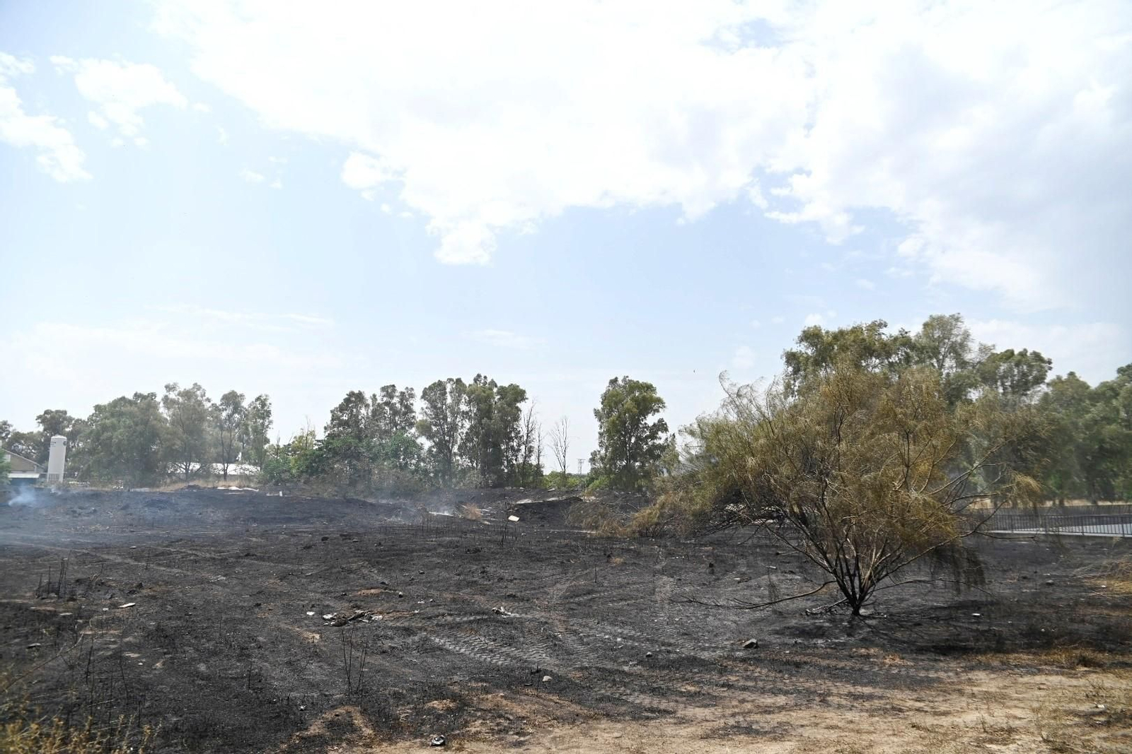 La zona calcinada por el incendio junto a la ronda Oeste, en imágenes