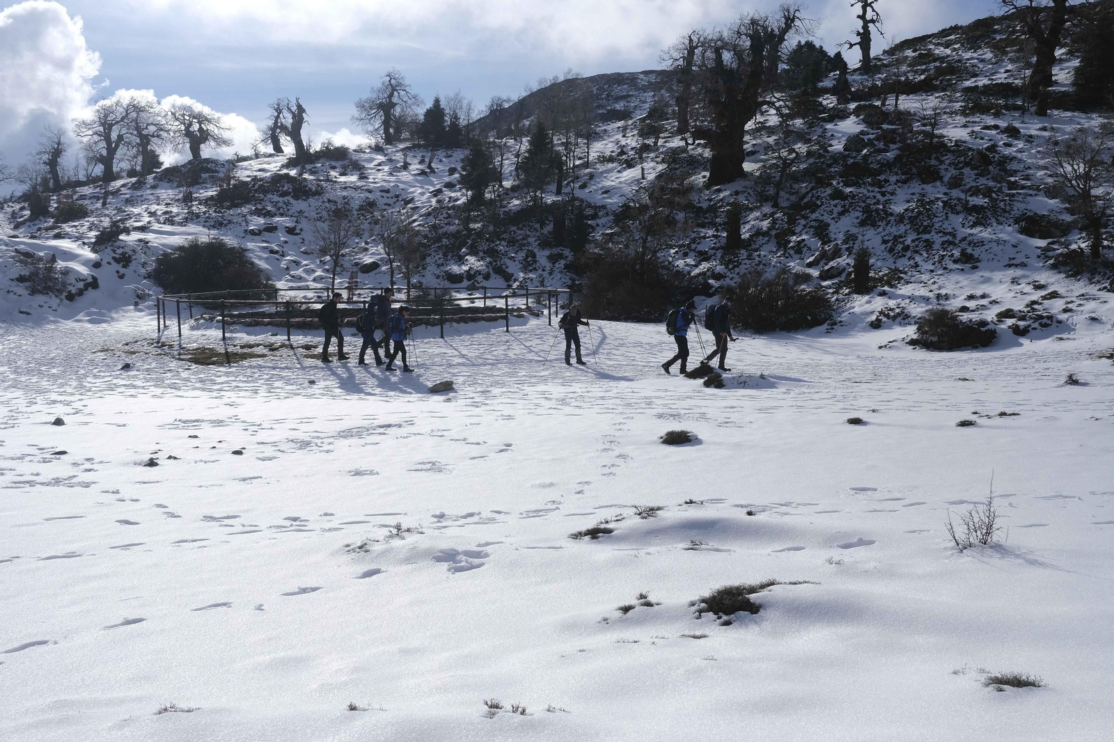 El blanco viste el Parque Nacional de la Sierra de las Nieves. El blanco viste el Parque Nacional de la Sierra de las Nieves.