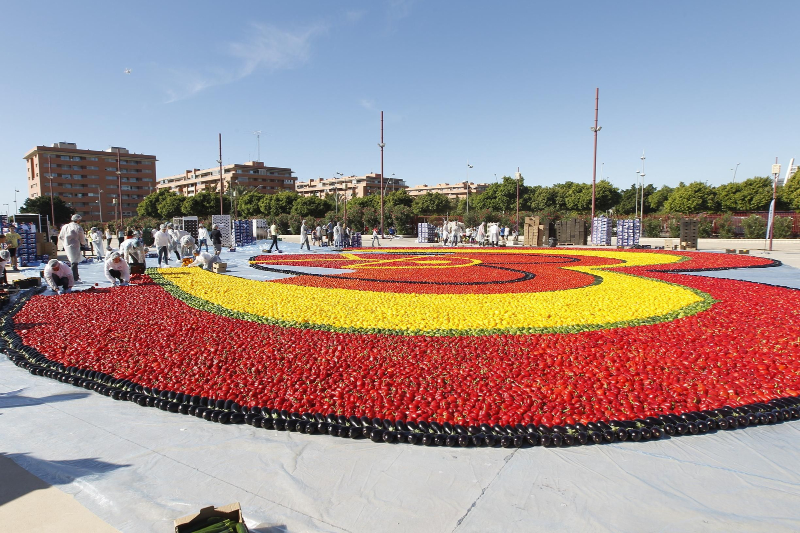 Fotogalería Récord Guinness Corazón Hortalizas Almería