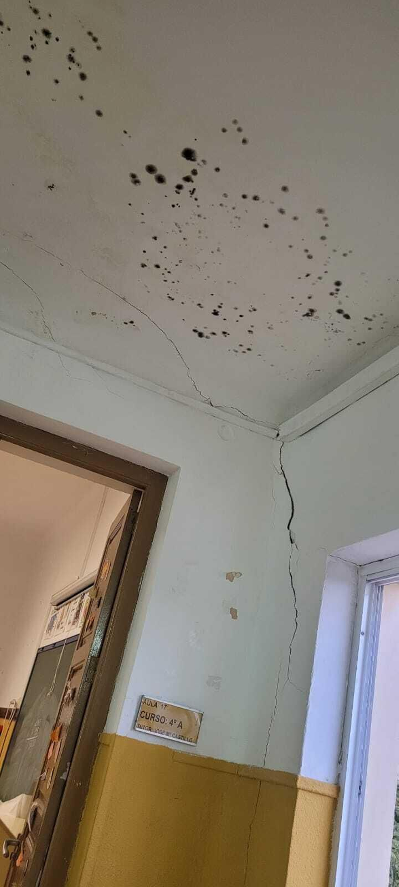 Humedades en los techos del Colegio Domingo Lozano de Málaga. Humedades en los techos del Colegio Domingo Lozano de Málaga.