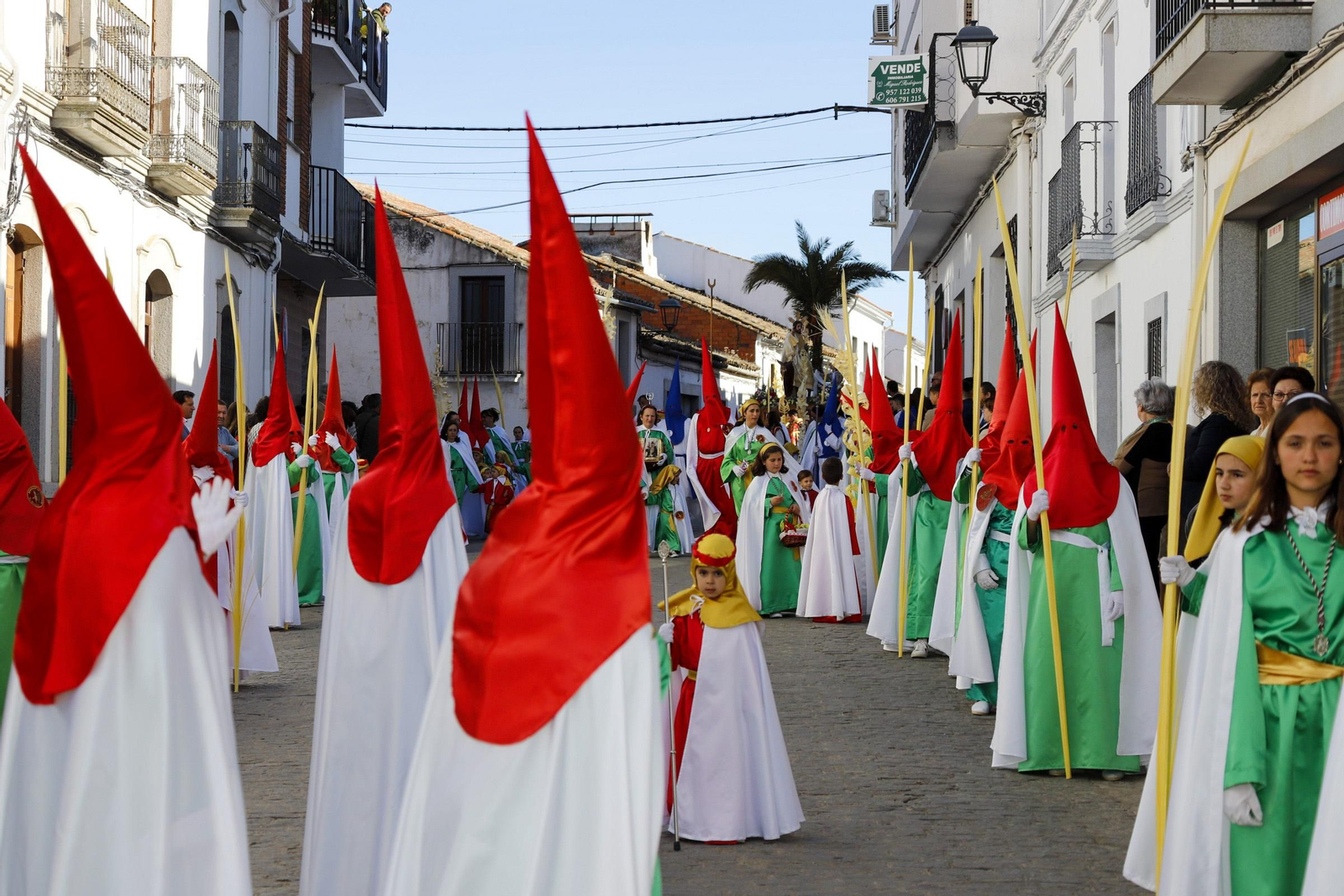 La procesión de la Borriquita en Villanueva de Córdoba, en imágenes