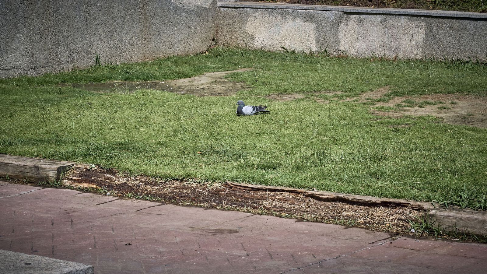Imagen del parque infantil Alcalde Carlos Díaz, una muestra del mal estado en el que se encuentran las zonas verdes de la ciudad