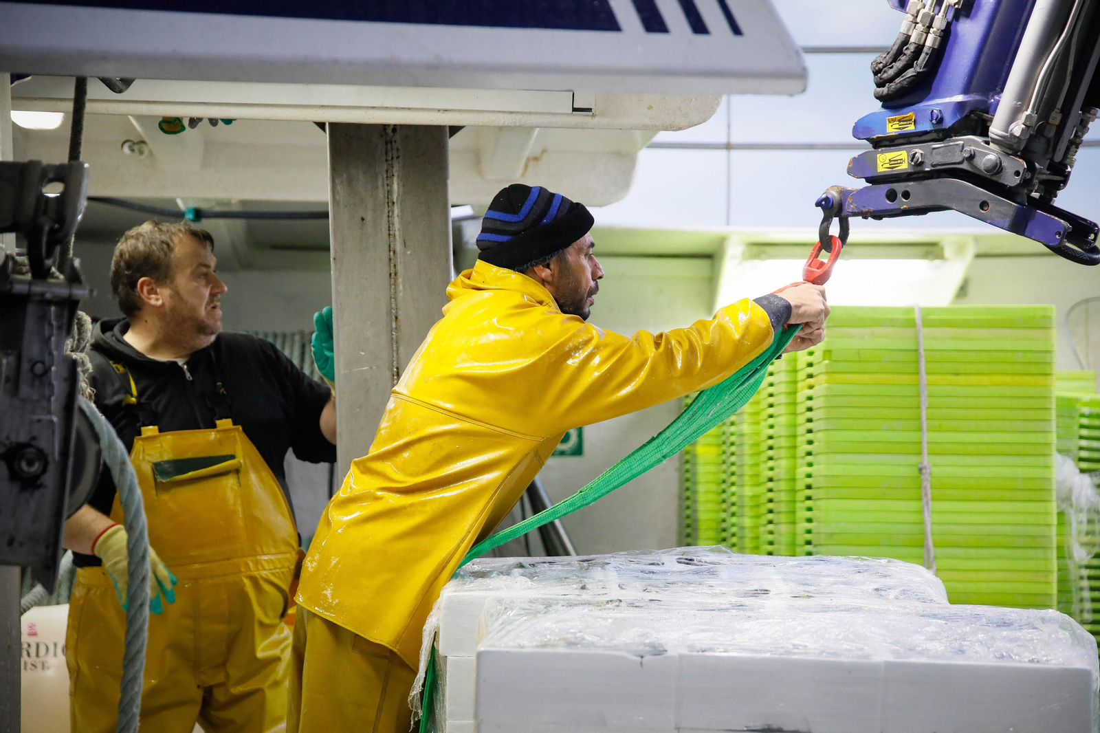 Te contamos en imágenes como ha sido la descarga de las traiñas en la lonja de Almería