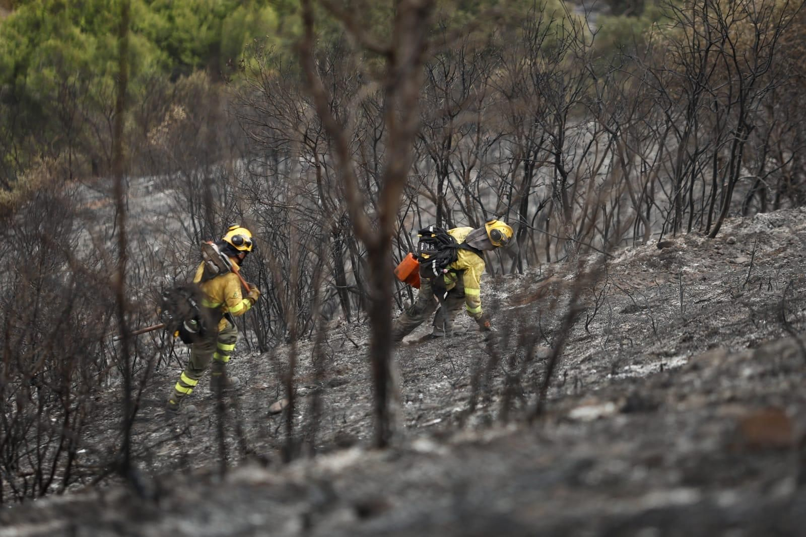 Las imágenes de la Fuente de la Bicha de Granada tras las llamas