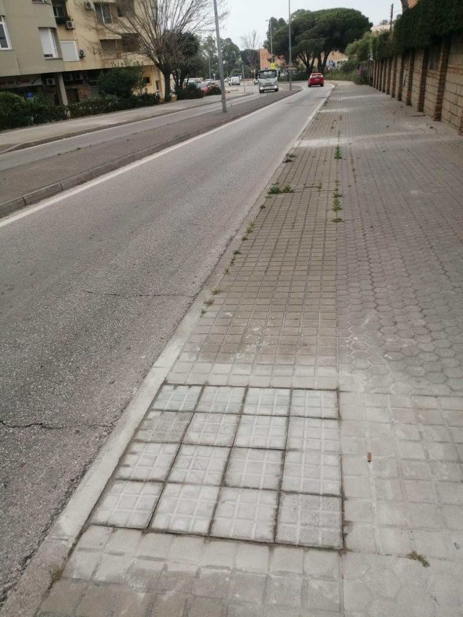 Uno de los alcorques erradicados de la acera por el Ayuntamiento de El Puerto.