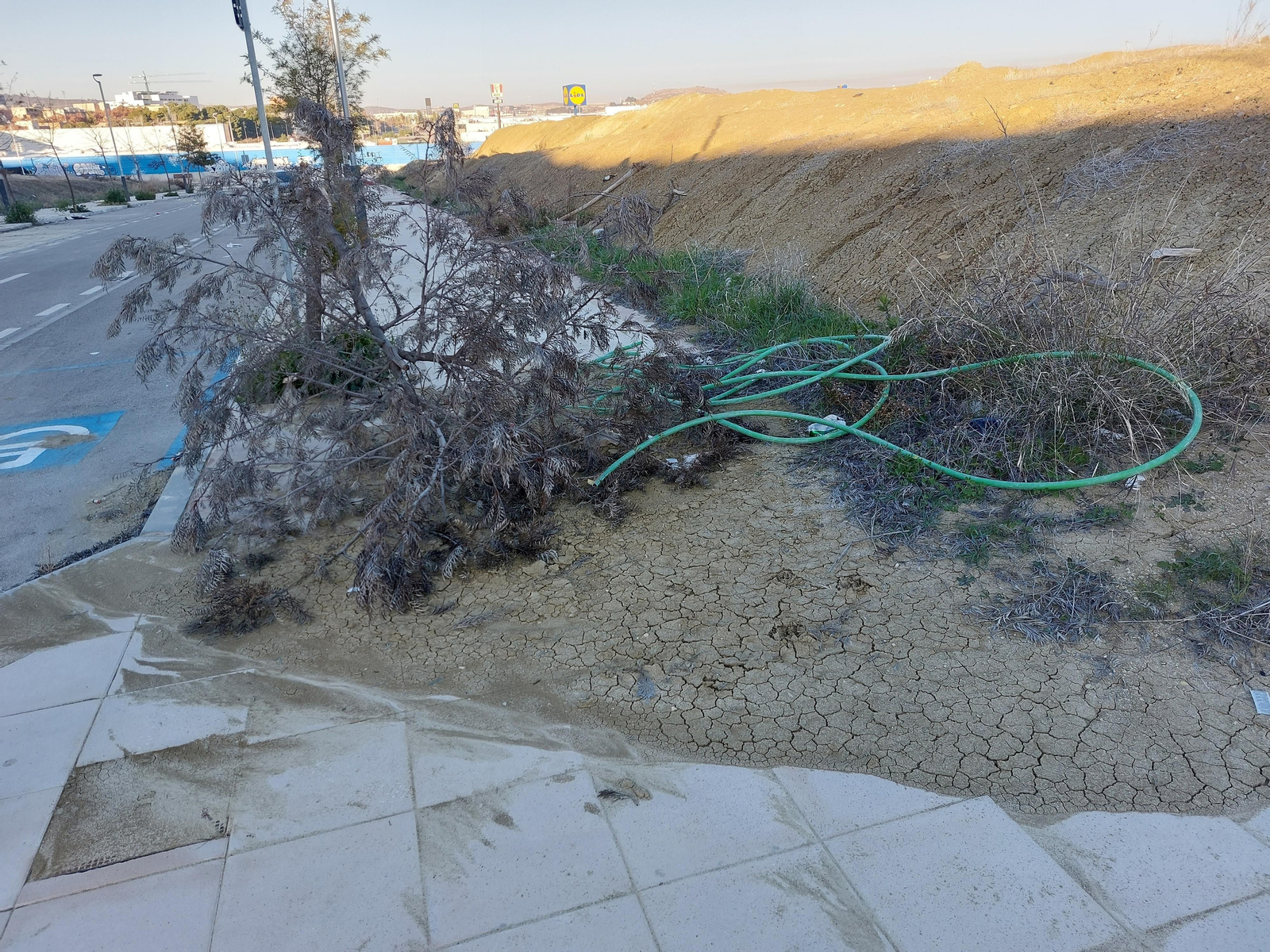 Inmediaciones del Jaén Plaza.