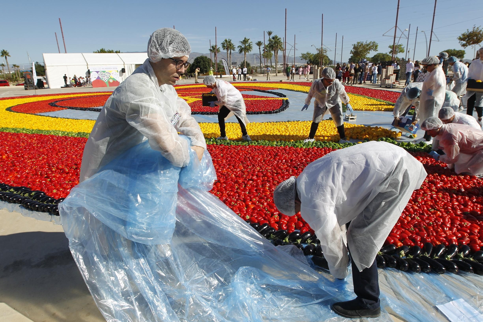 Fotogalería Récord Guinness Corazón Hortalizas Almería