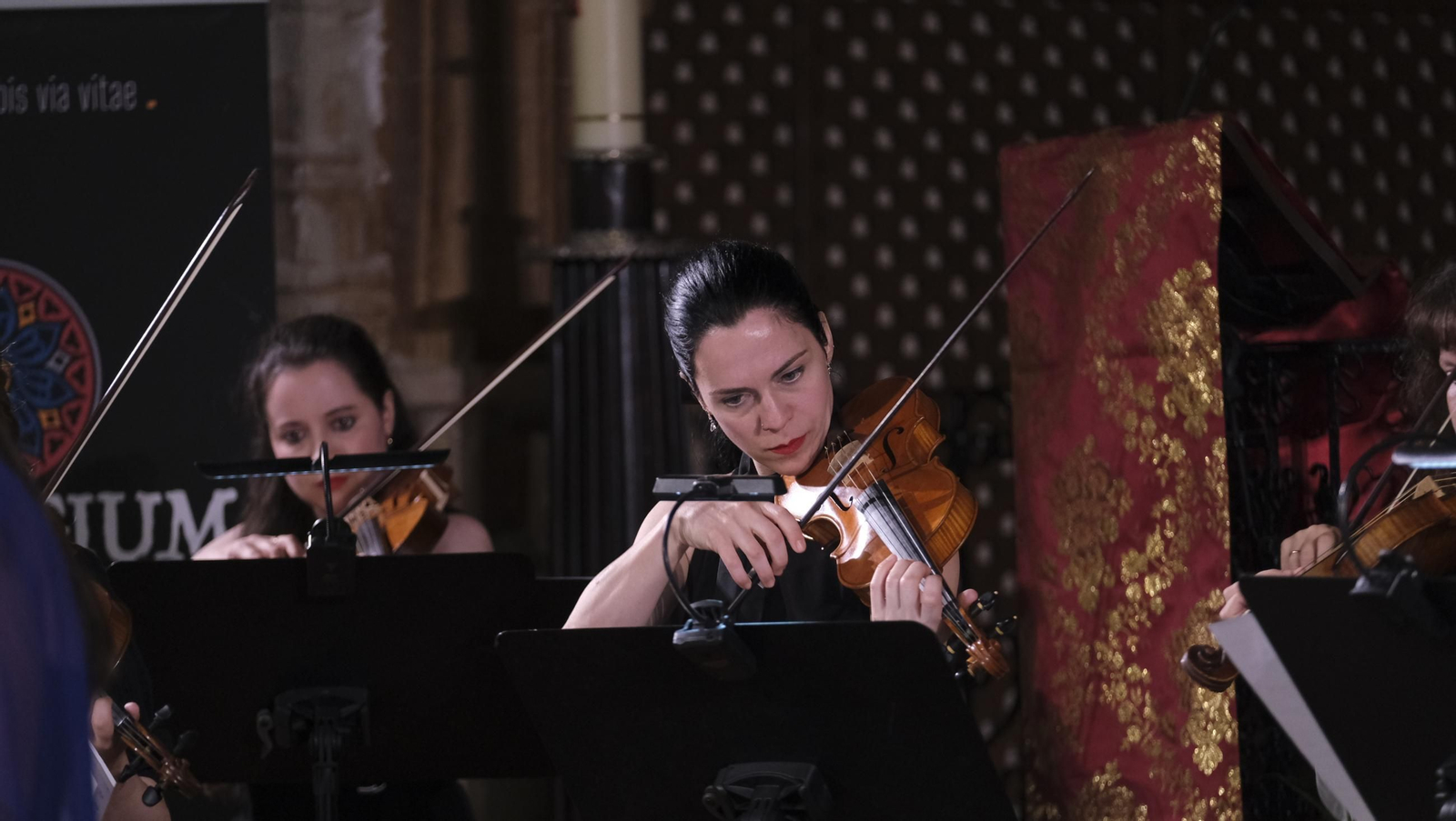 Concierto de Collegium Musicum Madrid, en el Festival de Vélez Blanco, en imágenes