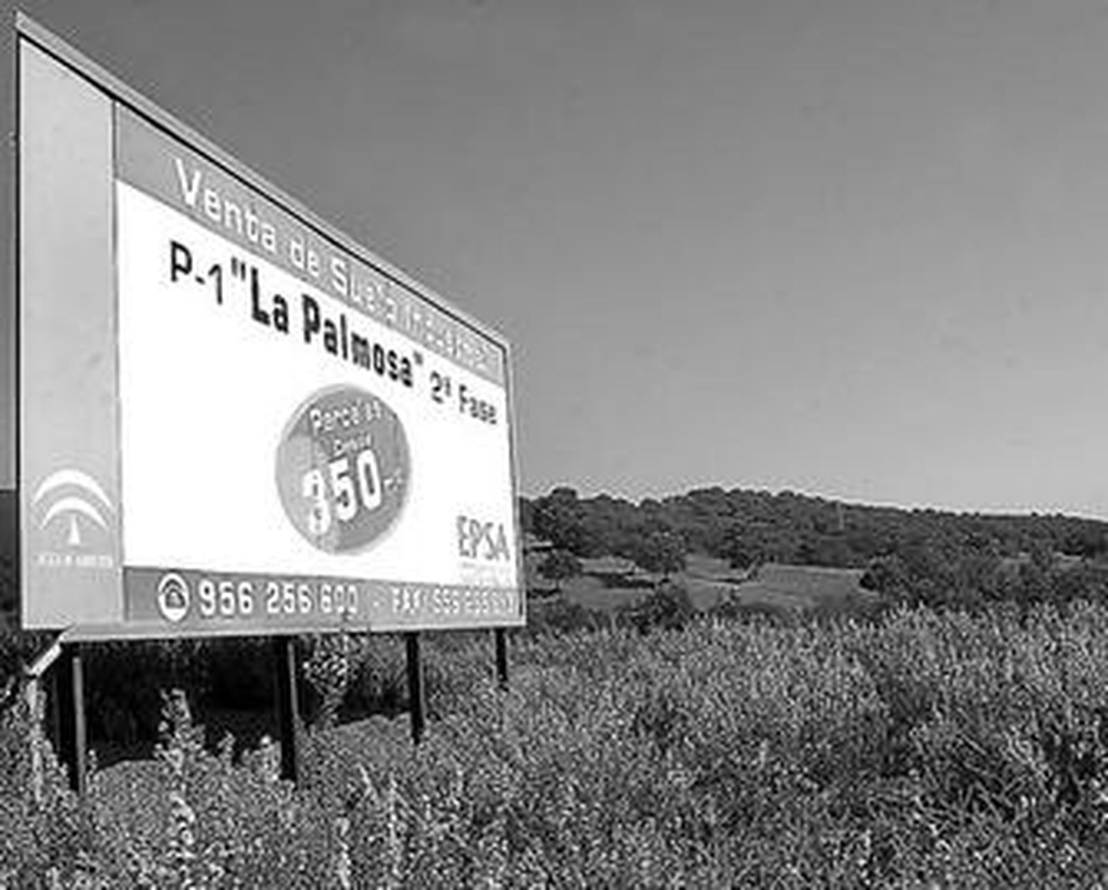 Zahav negocia su implantación en parte de la antigua parcela de Polanco, en La Palmosa, para fabricar todoterrenos urbanos y tipo 'pick-up'.